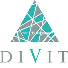 Divit Group logo